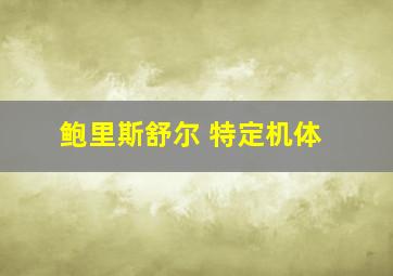 鲍里斯舒尔 特定机体